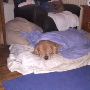 Meet your Posher, Jill